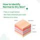 The Derma Co.5% Nia-Ceramide Deep Moisturizing Cream Thick Cream For Dry Skin 100 gm - Face Moisturizers
