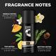 Beardo Perfume Body Spray Combo (Mafia 120 ml + Don 120 ml + Whisky Smoke 120 ml) - Men Perfumes (Edt/Edp)