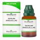 Medisynth Serum Anguillae 30 Liquid 30 ml - Dilutions