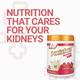 PentaSure Renal Powder - Vanilla Flavour 400 g - Daily Health Drinks