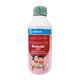 BETONIN KIDS MIXED FRUIT BUBBLEGUM FLAVOUR Syrup 450ml - Appetite-App