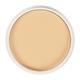 Matt Look Oil Control Waterproof Pan Cake, Face Makeup, Natural Sweep 15 gm - Compact Powder