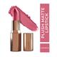 Plume Plush Matte Lipstick Chickflix 5 gm - Lipsticks