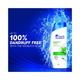 Head & Shoulders Cool Menthol Anti Dandruff Shampoo For Women & Men 340 ml - Shampoos