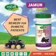 Swadeshi Jamun Churna Powder 100 gm - Diabetes Care (Ayush)