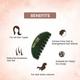 Mikami Jade Comb Kit 1's - Hair Combs
