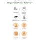 Clovia Botaniqa Vitamin C Face Serum & Spot Corrector Cream 80 gm - Face Serum