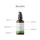 The Beauty Sailor Vitamin C Face Serum Hydrating Anti Aging Face Serum For Glowing Skin 30 ml - Face Serum