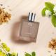 The Man Company EDP For Men - Laurent 60 ml - Men Perfumes (Edt/Edp)