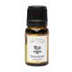 Clovia Botaniqa Ginger Essential Oil 10 ml - Essential Oils