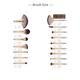 Allure Beige Pro makeup brush (set of 16) with suede Pouch 1's - Face Brush