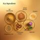 Forest Essentials Soundarya RAdiance Cream with 24K Gold SPF 30 30 gm - Face Moisturizers