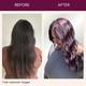 Paradyes Semi-Permanent Berry Plum Glossy Hair Tint, Enriched with Herbal Extracts Red\-Purple 160 gm - Crème
