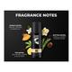 Beardo Perfume Body Spray Combo (Mafia 120 ml + Bandit 120 ml + Don 120 ml) - Men Perfumes (Edt/Edp)