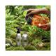 L'Occitane Verbena Liquid Soap Refill Hands & Body 500 ml - Soaps