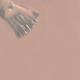 Colorbar Mauve Like Me - (016) 12 ml - Nail Polish