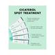 Beplain Cicaterol Spot Treatment 15 ml - Skin-Treatment