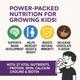 HealthBest Kidbest Protein Milk Powder - Delicious Chocolate Flavour 300 gm - Multi-Vitamins
