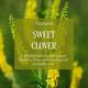 L'Occitane Melilot Shower Gel 250 ml - Shower Gels & Body Wash