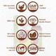 Krishna's Herbal & Ayurveda Pain Relief Oil 50 ml - Pain Relief (Ayush)