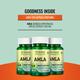 Morpheme Remedies Amla Caps 500mg Veg Caps 60's - Herbal Dietary Supplement