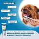 Trixie Dog Toothpaste with Tea Tree Oil 100 gm - Pet Grooming