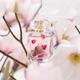 Escada Celebrate NOW Eau De Parfum For Women 50 ml - Women Perfumes (Edt/Edp)
