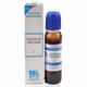 SBL Caulophyllum Thalictroides Q Liquid 30 ml - Mother Tincture