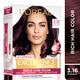 L'Oreal Paris Excellence Creme 316 Burgundy (72 ml + 100 gm) - Crème