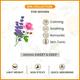 Keya Seth Aromatherapy Lavender and Rose Body Massage Oil for Women Calming, Soothing, Romantic 200 ml - Massage Oils