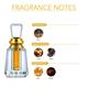 Ajmal Oudh Mukhallat Concentrated Perfume Oil Oriental Oudhy Alcohol For Unisex And Mukhallat Al Wafa Concentrated Perfume Oil Oriental Musky Alcohol For Unisex 18 ml - Perfumes (Edt/Edp)