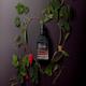 Valentino Born In Roma Uomo Coral Edt 100 ml - Men Perfumes (Edt/Edp)
