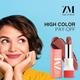 ZM Zayn & Myza Rich Matte Lipstick - Head Turner 4.2 gm - Lipsticks