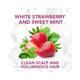 Herbal Essences White Strawberry & Sweet Mint CONDITIONER- For Cleansing and Volume - No Paraben, No Colorants 240 ml - Conditioners