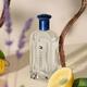Tommy Hilfiger Tommy Forever Eau de Toilette 100 ml - Men Perfumes (Edt/Edp)