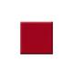 Colorbar Vegan Nail Lacquer-Forever Darling-005 8 ml - Nail Polish