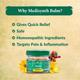Medisynth Pain Relief Balm 18 g - Speciality Medicine