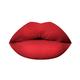 PAC Timeless Matte 12H Longlasting Rich Pigment One Swipe Payoff Smudgeproof - Sangria (6.5 ml) - Liquid Lipsticks