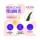 Blue Heaven Prep & Fix Primer & Setting Mist with Vitamin B & E Aloe Vera and Paraben Free 60ml - Setting Spray