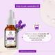 Passion Indulge LAVENDER  Essential oil  For hair gowth and sebum balancer, & stimulant 10ML - Essential Oils