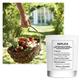 Maison Margiela Replica From The Garden Scented Candle 165 gm - Candle
