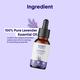 Aravi Organic Lavender Essential Oil 100% Pure Oil 15 ml - Essential Oils