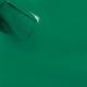 Colorbar Green Fling - (960) 12 ml - Nail Polish