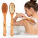 Vega Cellulite Bath Brush Dry Body Brush & Massage For Men & Women, Body Scrubber Brush (Nba-1/1) - Loofahs & Sponges