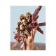 Q By Dolce&Gabbana Edp 100 ml - Women Perfumes (Edt/Edp)