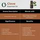 Organic Forest 100% VEGAN Clove Essential Oil 10 ml - Essential Oils