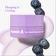 The Face Shop Vitamin A Lip Mask with Blueberry Extracts, Shea Butter for Soft, Plump Lips 7 gm - Lip Mask