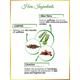 Nutrinorm Restorative Under Eye Cream 15 gm - Under Eye Creams & Serums