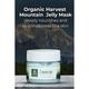 Organic Harvest Activ Mountain Leave-in Jelly Mask 50 gm - Masks & Peels