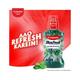 Colgate-Palmolive, Colgate Plax Antibacterial Mouthwash, 24/7 Fresh Breath(Fresh Mint) 500 ml - Mouthwash